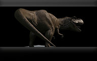 trex
